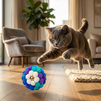 Catvera Plush Bell Balls Set - Main Product Image