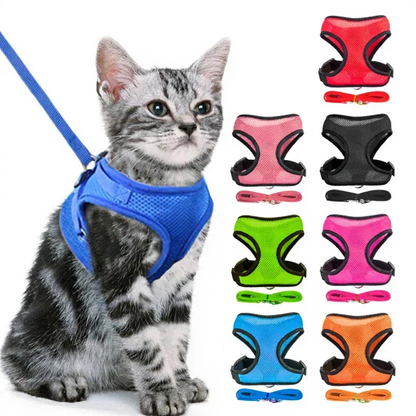 Catvera Reflective Mesh Pet Harness - Image 1|||PROMPT|||Cleaned image. Original analysis: Found 1 brand logo/emblem repeated on all harnesses and leashes - a small white circular badge/crest with a paw print or similar symbol appears on the front of each harness model