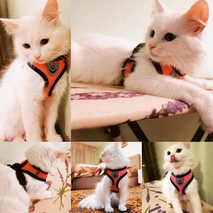 Catvera Reflective Mesh Pet Harness - Image 2|||PROMPT|||Original clean product image