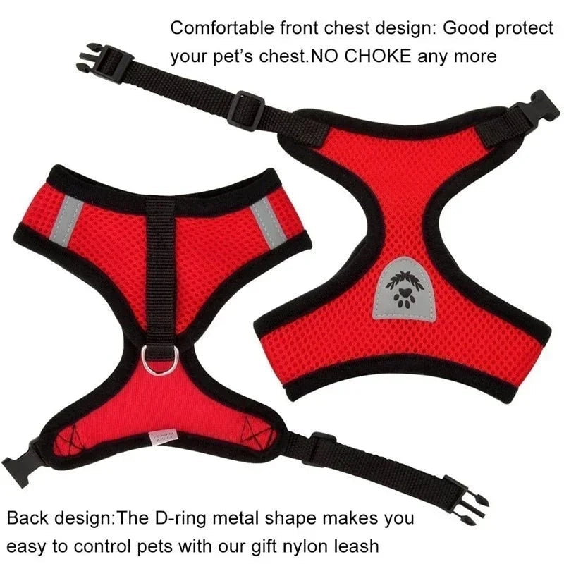 Catvera Reflective Mesh Pet Harness - Image 5|||PROMPT|||Original clean product image