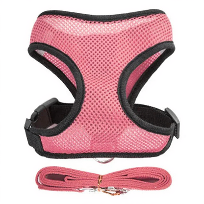 Catvera Reflective Mesh Pet Harness - Image 7|||PROMPT|||Cleaned image. Original analysis: found 1 paw print logo with brand name on the chest patch of the harness