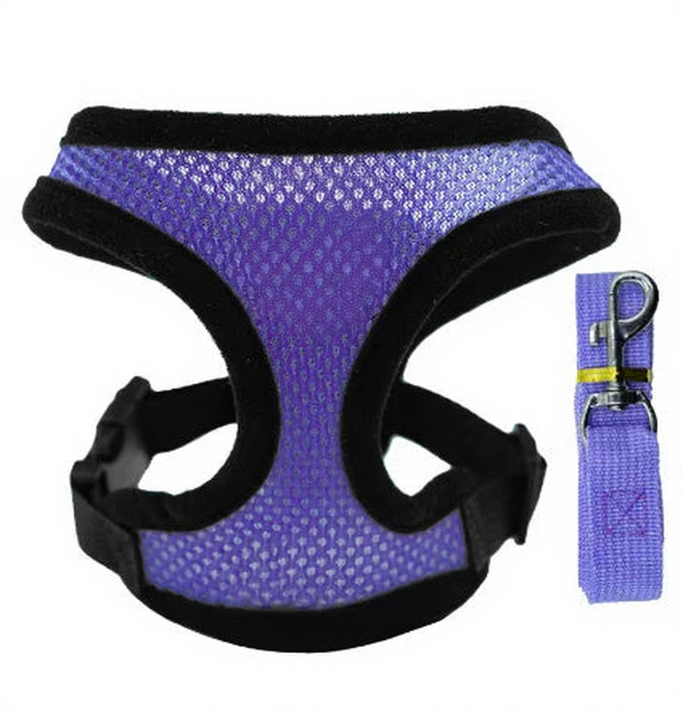 Catvera Reflective Mesh Pet Harness - Image 8|||PROMPT|||Cleaned image. Original analysis: Found a paw print logo with a leaf/plant design embossed on the harness chest piece, and branding visible on the leash attachment area