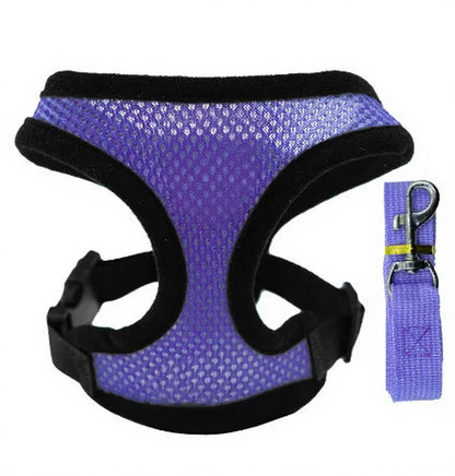 Catvera Reflective Mesh Pet Harness - Image 8|||PROMPT|||Cleaned image. Original analysis: Found a paw print logo with a leaf/plant design embossed on the harness chest piece, and branding visible on the leash attachment area