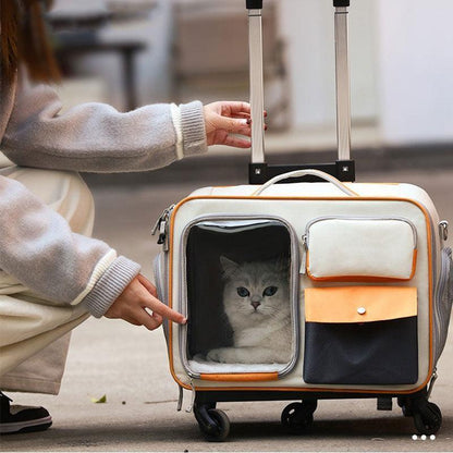 Catvera Rolling Wheeled Cat Carrier - Image 16|||PROMPT|||Original clean product image