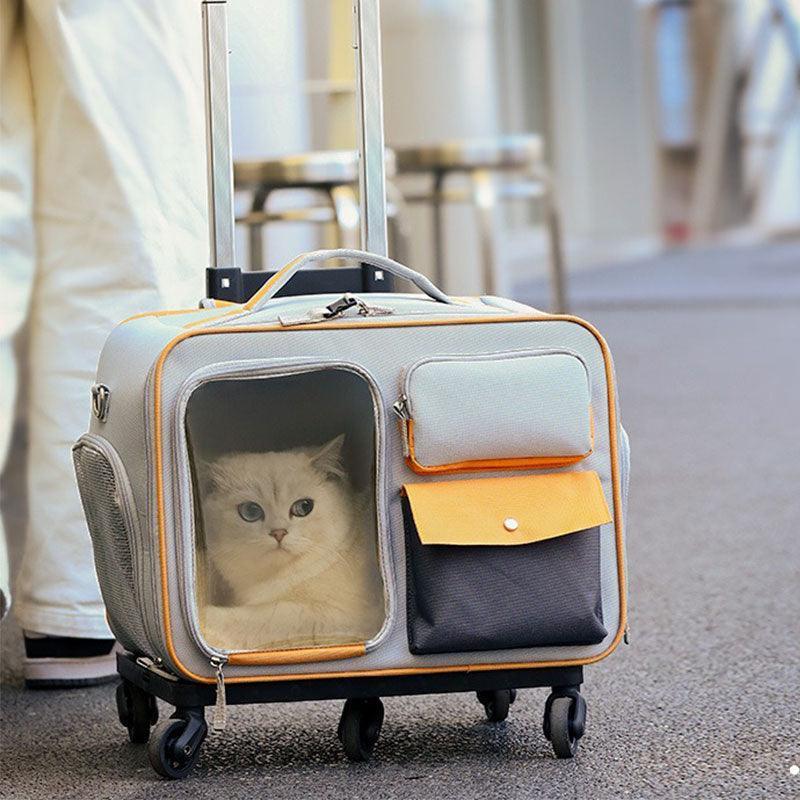 Catvera Rolling Wheeled Cat Carrier - Image 17|||PROMPT|||Original clean product image