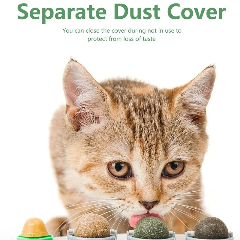 Catvera Rotating 4-in-1 Herbal Lick Toy - Image 4|||PROMPT|||Original clean product image
