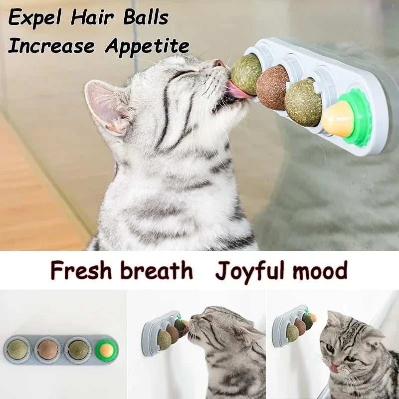 Catvera Rotating 4-in-1 Herbal Lick Toy - Image 5|||PROMPT|||Original clean product image