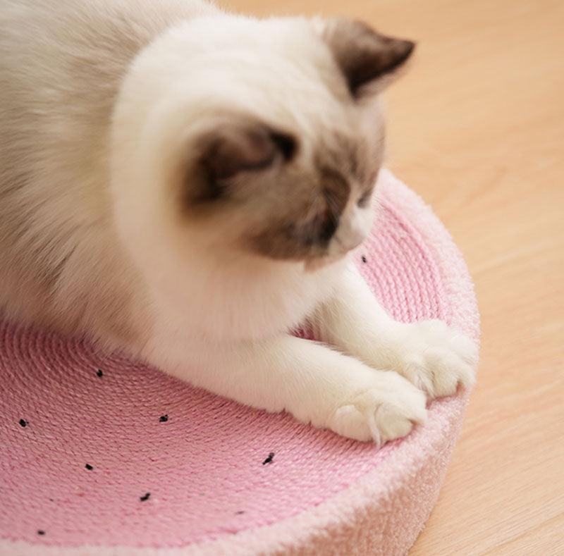 Catvera Round Cat Scratching Bed - Image 10|||PROMPT|||Original clean product image