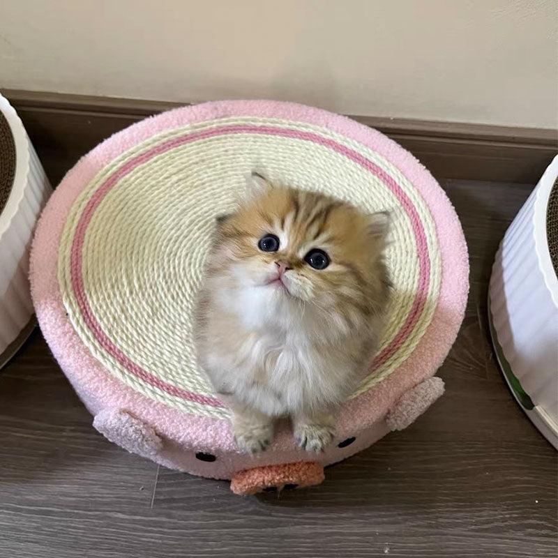 Catvera Round Cat Scratching Bed - Image 15|||PROMPT|||Original clean product image