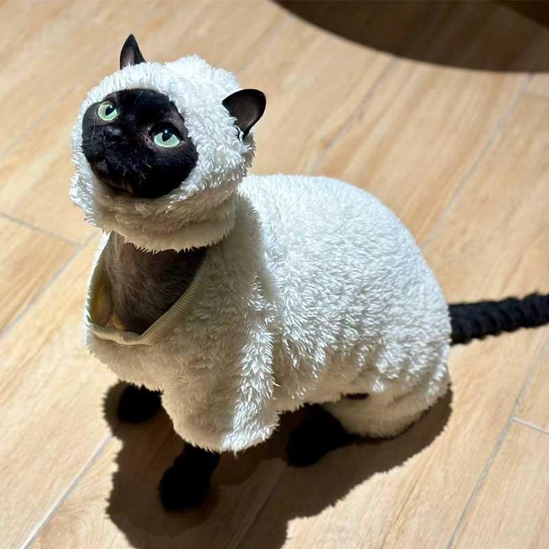 Catvera Sheep Halloween Costume Sphynx - Image 3|||PROMPT|||Original clean product image