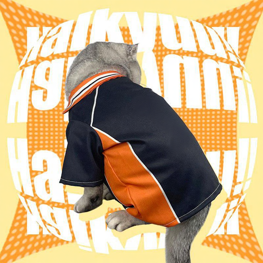 Catvera Shoyo Hinata Volleyball Cosplay Costume - Image 13|||PROMPT|||Cleaned image. Original analysis: Found Japanese text 'ハイキューー!' (Haikyu!!) at the top and large white text overlays reading 'HAIKYU' and 'IS SHOYO' across the background, plus a headband with orange/red coloring on the cat product