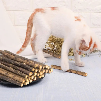 Catvera Silvervine Cat Chew Sticks - Image 3|||PROMPT|||Original clean product image