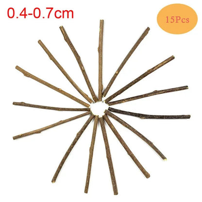 Catvera Silvervine Cat Chew Sticks - Image 7|||PROMPT|||Original clean product image