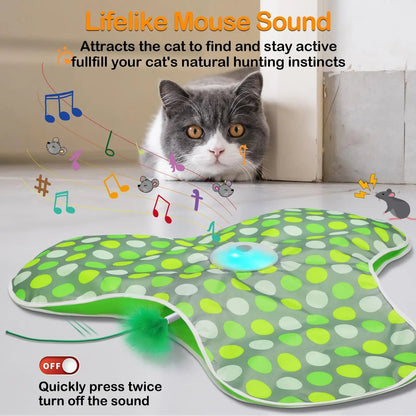 Catvera Smart Hide Seek Cat Toy - Image 1|||PROMPT|||Original clean product image
