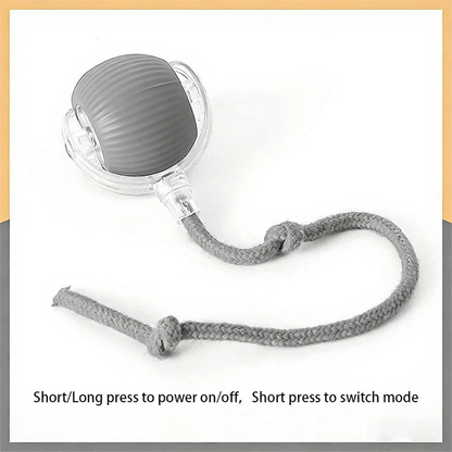 Catvera Smart Interactive Ball Toy - Image 13|||PROMPT|||Cleaned image. Original analysis: found 1 brand label/watermark - 'GREY' text in grey rounded rectangle button in top right corner