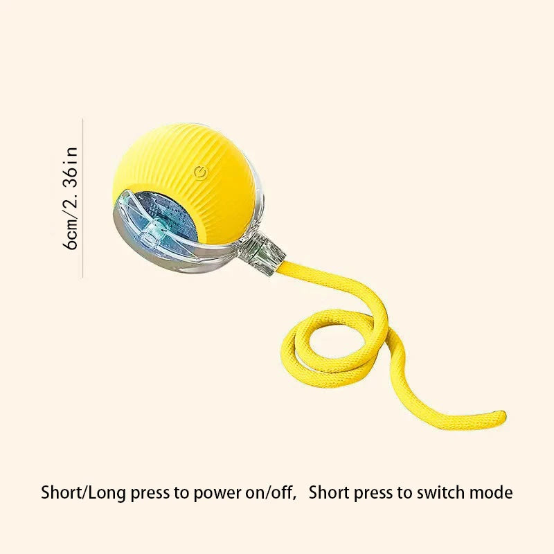 Catvera Smart Interactive Ball Toy - Image 14|||PROMPT|||Original clean product image