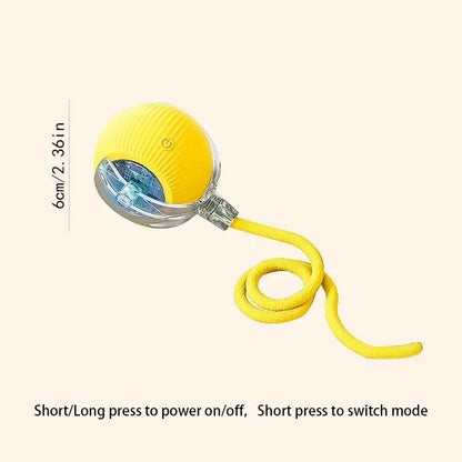 Catvera Smart Interactive Ball Toy - Image 14|||PROMPT|||Original clean product image