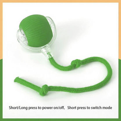 Catvera Smart Interactive Ball Toy - Image 24|||PROMPT|||Cleaned image. Original analysis: Found 1 brand name watermark at the top right of the image