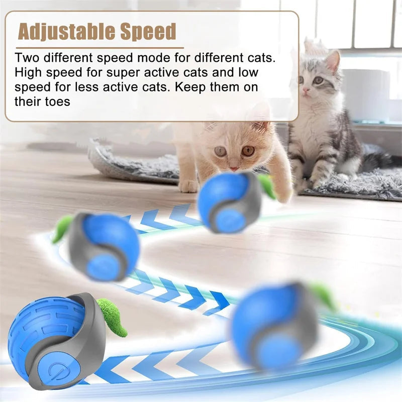 Catvera Smart Interactive Ball Toy - Image 5|||PROMPT|||Original clean product image