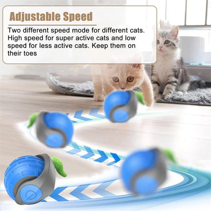 Catvera Smart Interactive Ball Toy - Image 5|||PROMPT|||Original clean product image