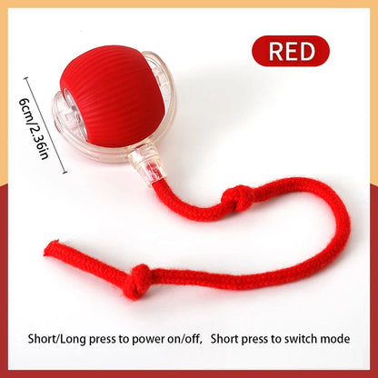 Catvera Smart Interactive Ball Toy - Image 8|||PROMPT|||Original clean product image