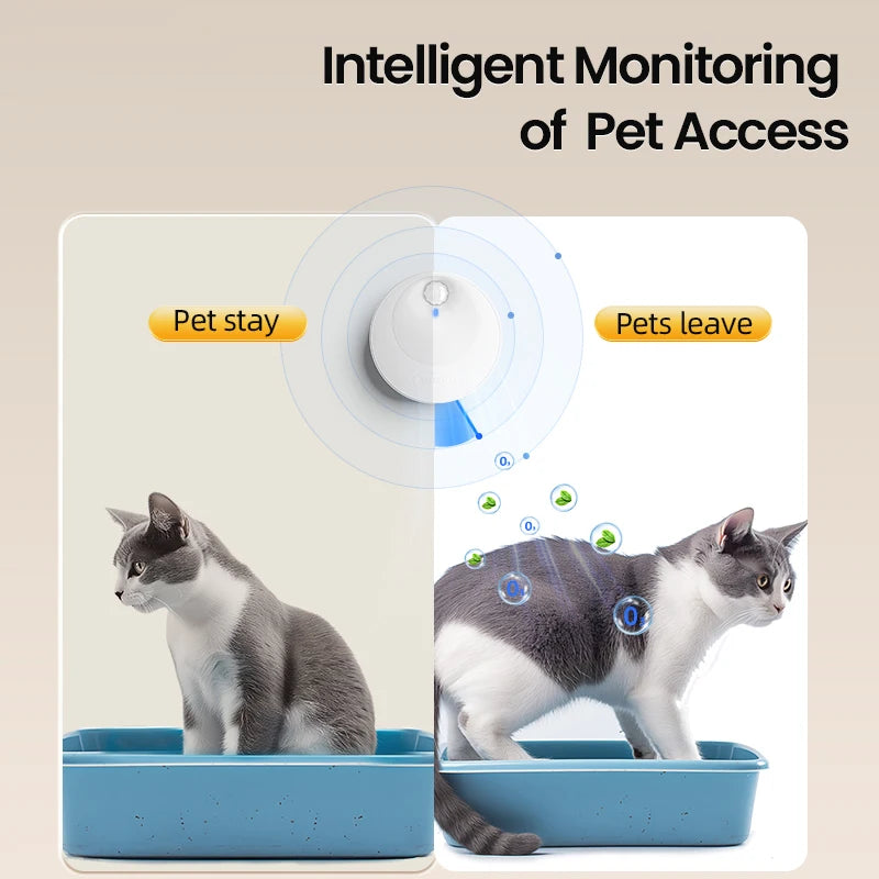 Catvera Smart Litter Box Deodorizer - Image 6|||PROMPT|||Original clean product image