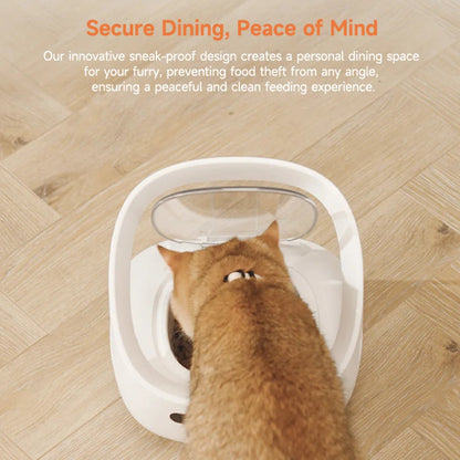Catvera Smart RFID Multi-Pet Feeder - Image 2|||PROMPT|||Original clean product image