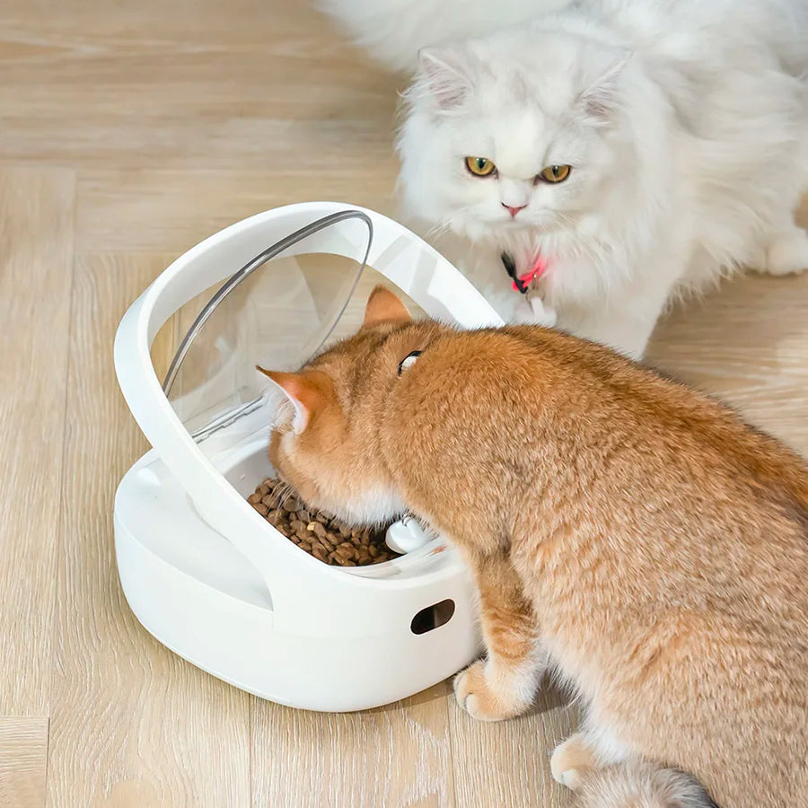 Catvera Smart RFID Multi-Pet Feeder - Image 5|||PROMPT|||Original clean product image