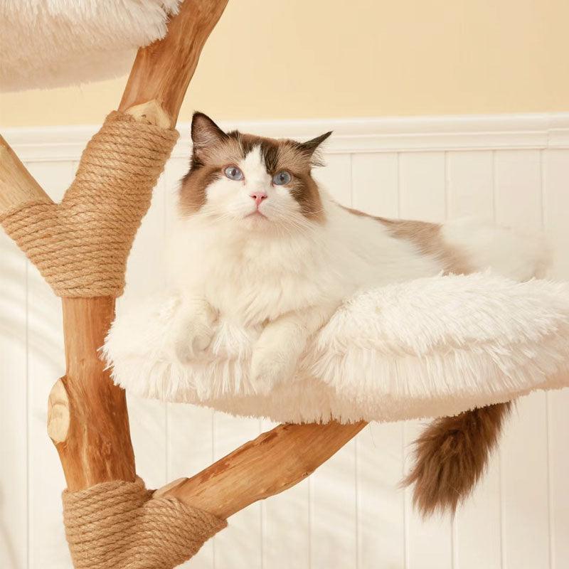 Catvera Solid Wood Cat Tree - Image 11|||PROMPT|||Original clean product image