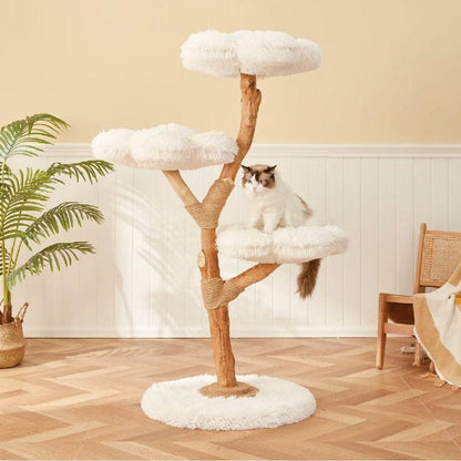 Catvera Solid Wood Cat Tree - Image 2|||PROMPT|||Original clean product image
