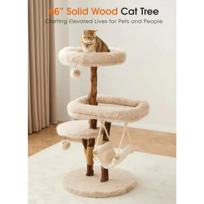 Catvera Solid Wood Cat Tree Tower - Image 2|||PROMPT|||Original clean product image