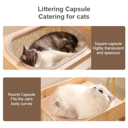 Catvera Space Capsule Cat Climbing Tree - Image 2|||PROMPT|||Original clean product image