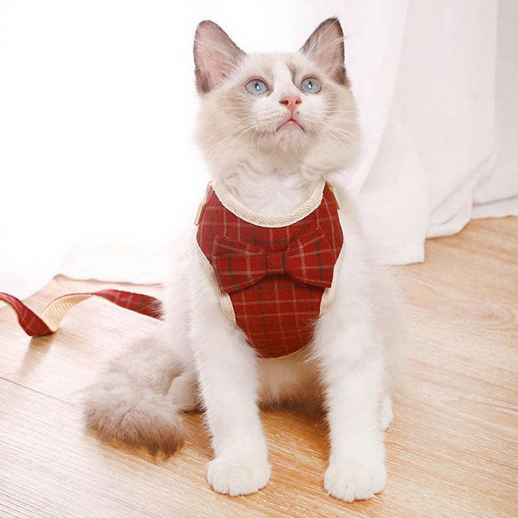 Catvera Striped Bowtie Cat Harness Vest - Image 8|||PROMPT|||Cleaned image. Original analysis: found 2 brand names/logos on the harness worn by the cat - text elements on the bow tie area that appear to be brand labels or stamps