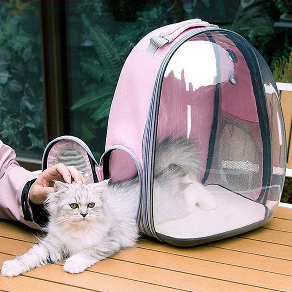 Catvera Transparent Bubble Cat Backpack - Image 5|||PROMPT|||Cleaned image. Original analysis: found 1 text watermark 'MEWCATS' overlaid on the image