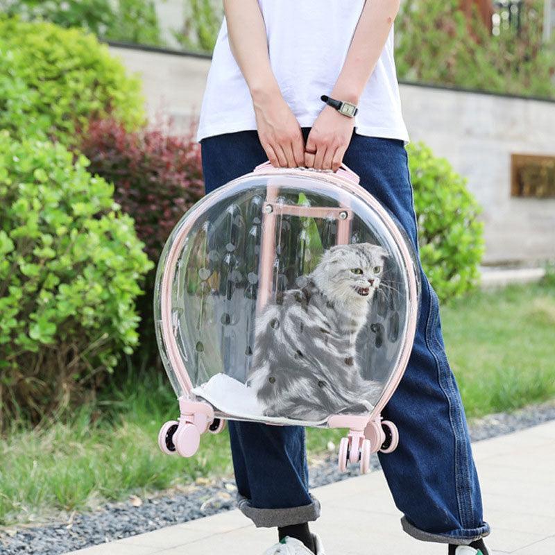 Catvera Transparent Wheeled Cat Carrier - Image 10|||PROMPT|||Original clean product image