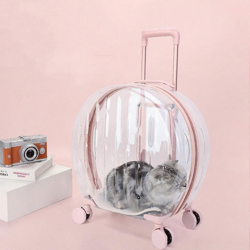Catvera Transparent Wheeled Cat Carrier - Image 15|||PROMPT|||Cleaned image. Original analysis: Found text branding on the book/box on the left side of the image that includes Cyrillic characters and brand names