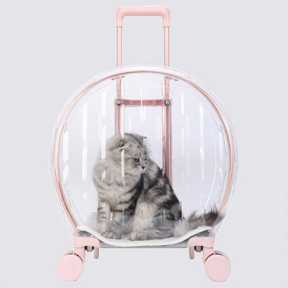 Catvera Transparent Wheeled Cat Carrier - Image 9|||PROMPT|||Cleaned image. Original analysis: found 1 brand name watermark in the top left corner