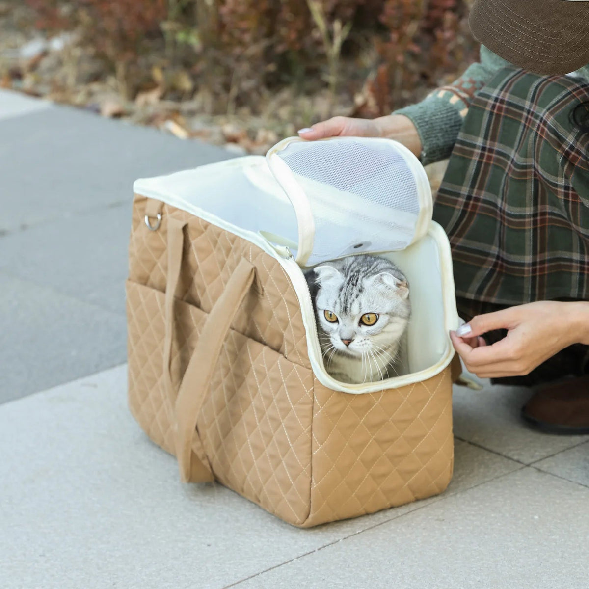 Foldable Travel Pet Carrier Bag - Image 1|||PROMPT|||Original clean product image