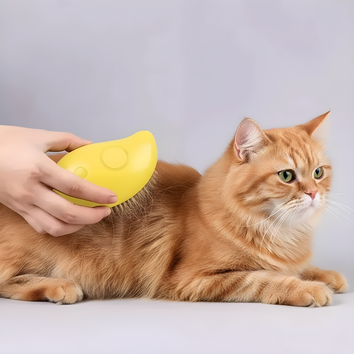 Catvera Steam Grooming Brush