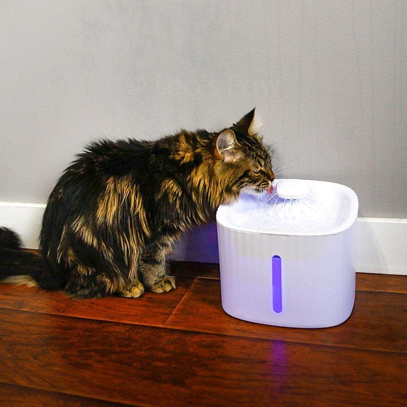 Catvera LED Smart Cat Water Fountain