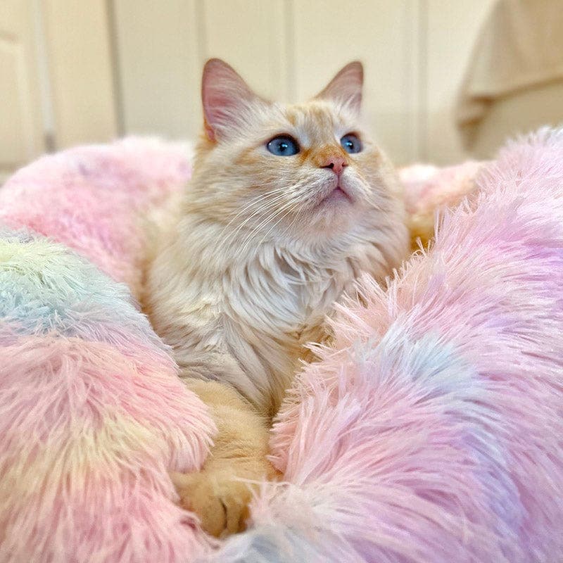 Catvera Calming Donut Cat Bed