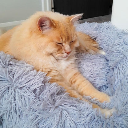 Catvera Calming Donut Cat Bed