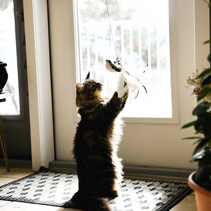 Catvera Interactive Bird Simulation Toy