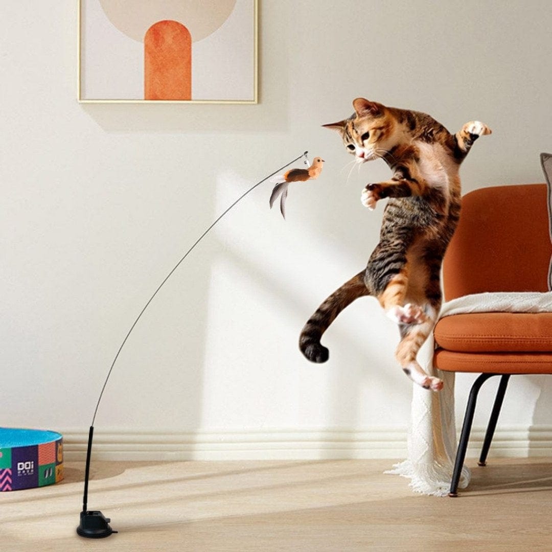Catvera Interactive Bird Simulation Toy
