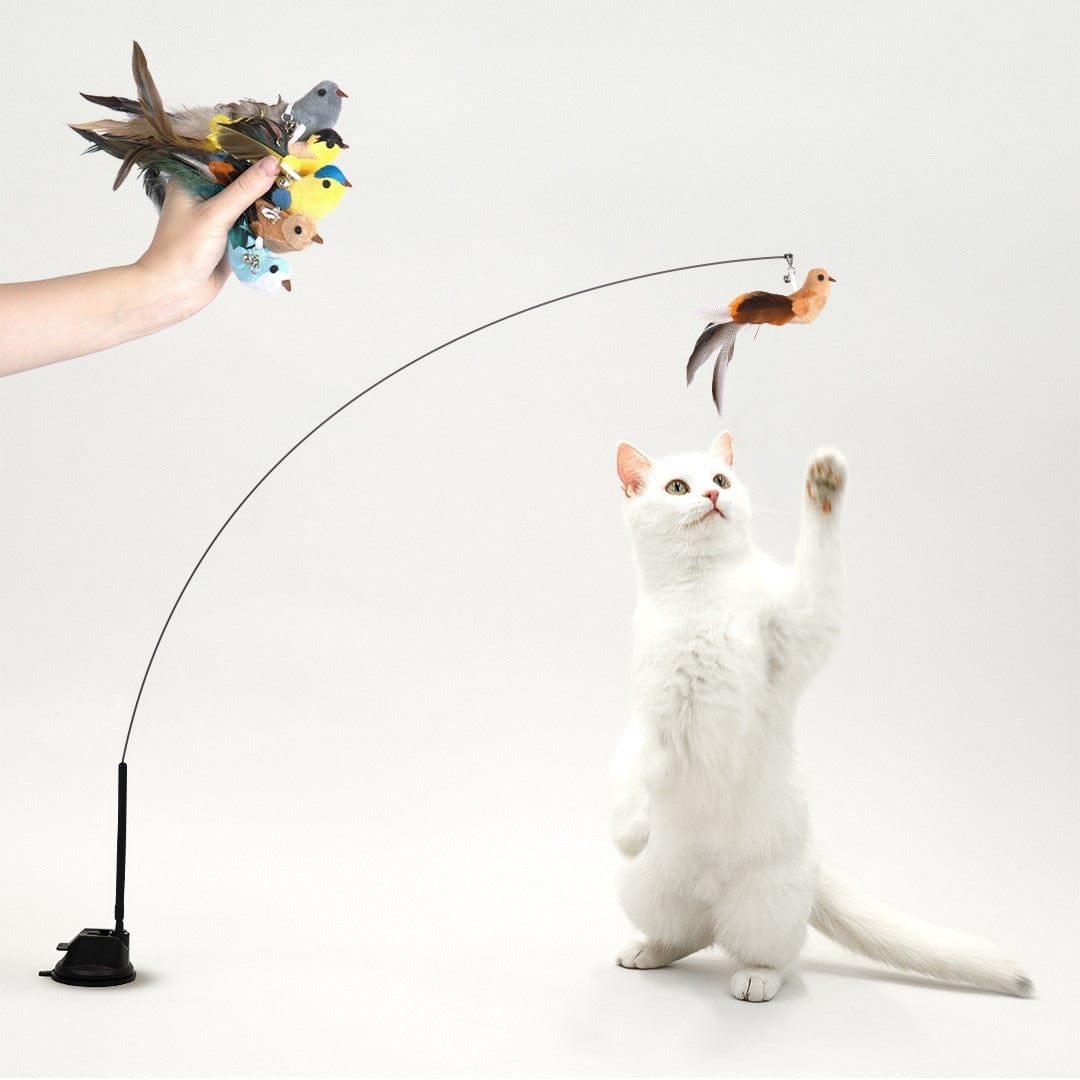 Catvera Interactive Bird Simulation Toy