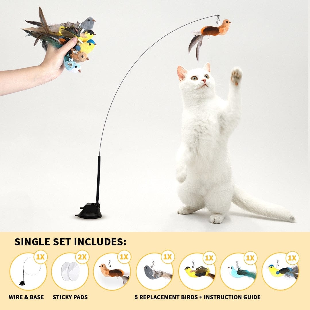 Catvera Interactive Bird Simulation Toy
