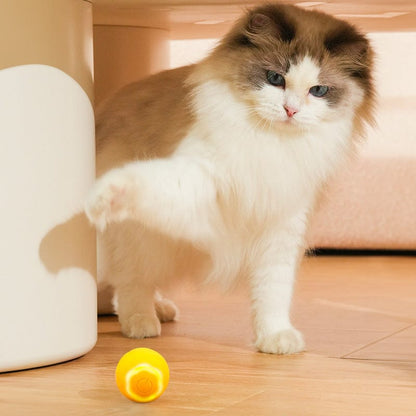 Catvera Smart LED Ball Toy