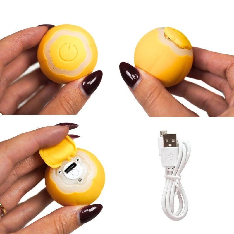 Catvera Smart LED Ball Toy