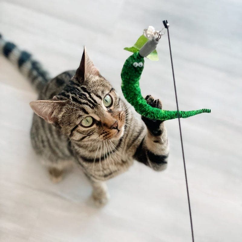 Catvera Interactive Worm Hunting Toy