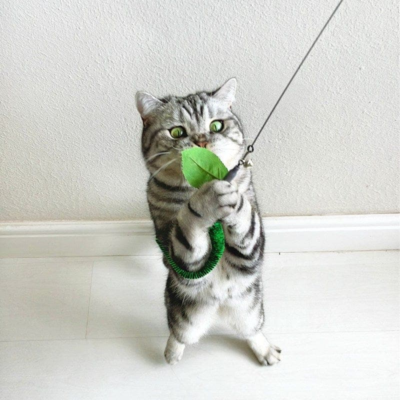 Catvera Interactive Worm Hunting Toy